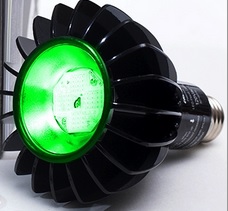 The Peak 516™ LED Green Light Therapy for Rosacea